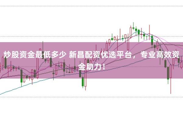 炒股资金最低多少 新昌配资优选平台，专业高效资金助力！
