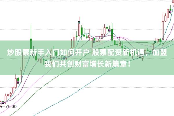 炒股票新手入门如何开户 股票配资新机遇，加盟我们共创财富增长新篇章！