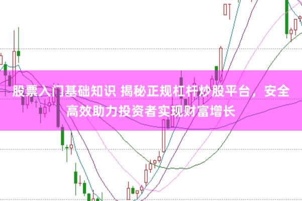 股票入门基础知识 揭秘正规杠杆炒股平台，安全高效助力投资者实现财富增长