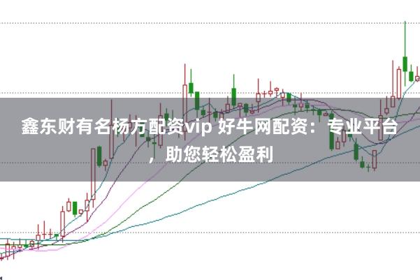 鑫东财有名杨方配资vip 好牛网配资：专业平台，助您轻松盈利