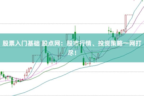 股票入门基础 股点网：股市行情、投资策略一网打尽！