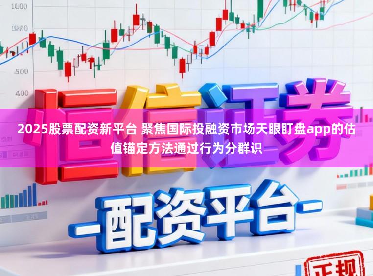 2025股票配资新平台 聚焦国际投融资市场天眼盯盘app的估值锚定方法通过行为分群识