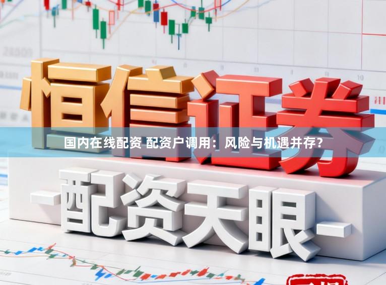 国内在线配资 配资户调用：风险与机遇并存？
